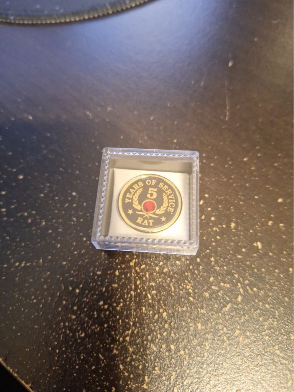 5 Years of Service RAT Lapel Pin w/ Stone – Employee Recognition Award Pin